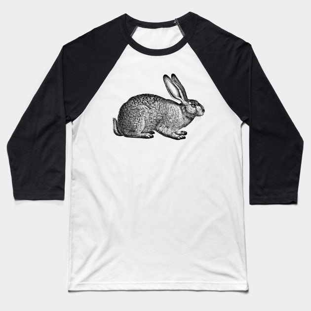 Rabbit - Hare - Bunny - nature - drawing, animal Baseball T-Shirt by AltrusianGrace